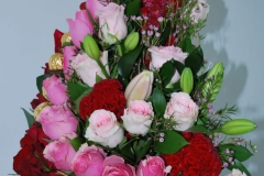 WhatsApp-Image-2023-02-16-at-10.02.17-1