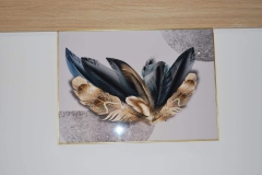 WhatsApp-Image-2023-02-16-at-10.02.25